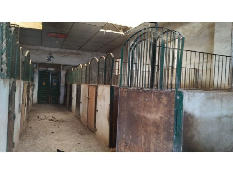 12 Zimmer Finca/Landgut zu verkaufen in Yecla mit Garage - 875.000 € (Ref: 9101054)