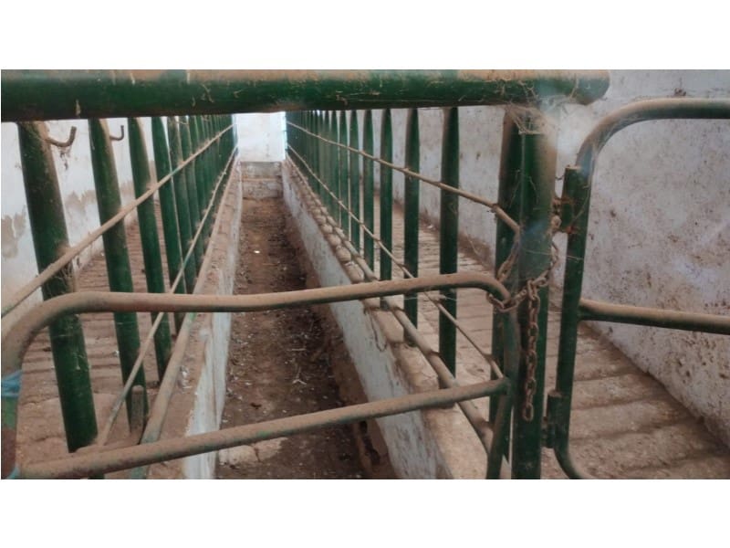 12 Zimmer Finca/Landgut zu verkaufen in Yecla mit Garage - 875.000 € (Ref: 9101054)