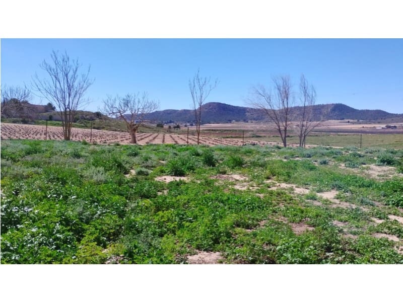 12 Zimmer Finca/Landgut zu verkaufen in Yecla mit Garage - 875.000 € (Ref: 9101054)