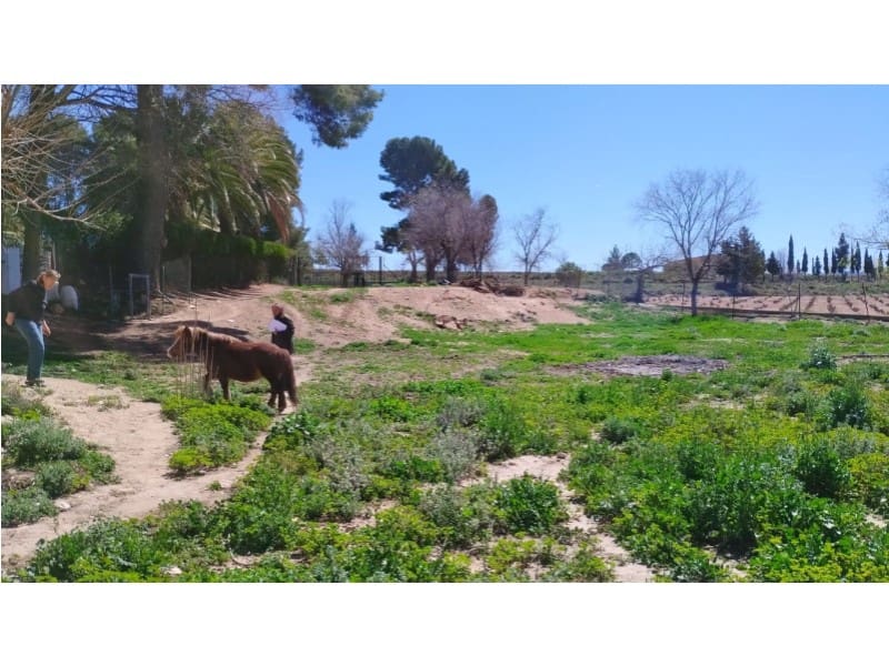 12 Zimmer Finca/Landgut zu verkaufen in Yecla mit Garage - 875.000 € (Ref: 9101054)