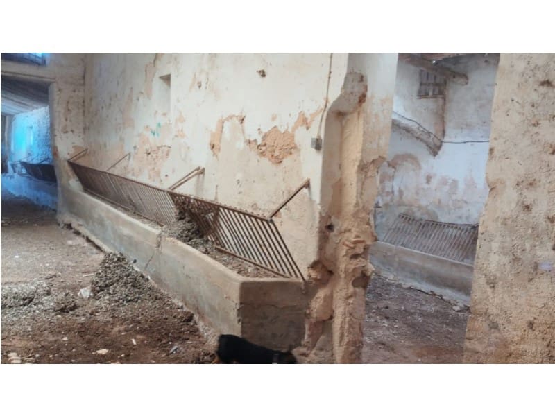 12 Zimmer Finca/Landgut zu verkaufen in Yecla mit Garage - 875.000 € (Ref: 9101054)