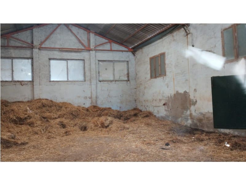 12 Zimmer Finca/Landgut zu verkaufen in Yecla mit Garage - 875.000 € (Ref: 9101054)