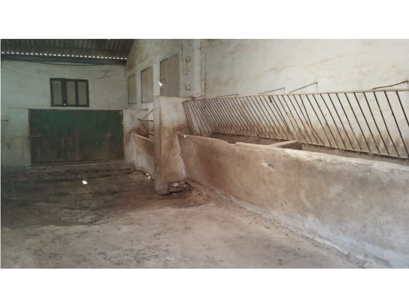 12 Zimmer Finca/Landgut zu verkaufen in Yecla mit Garage - 875.000 € (Ref: 9101054)