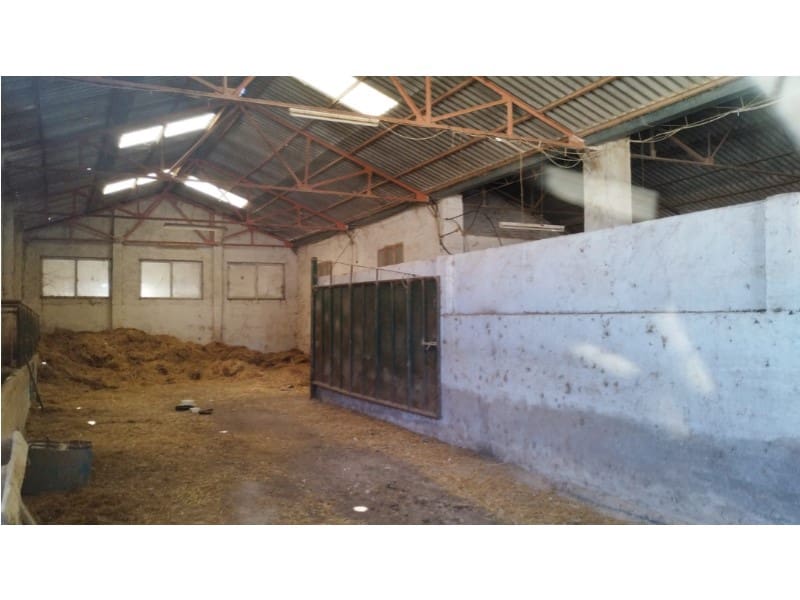 12 Zimmer Finca/Landgut zu verkaufen in Yecla mit Garage - 875.000 € (Ref: 9101054)