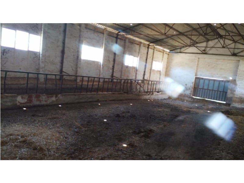 12 Zimmer Finca/Landgut zu verkaufen in Yecla mit Garage - 875.000 € (Ref: 9101054)