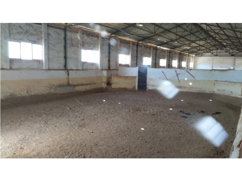 12 Zimmer Finca/Landgut zu verkaufen in Yecla mit Garage - 875.000 € (Ref: 9101054)