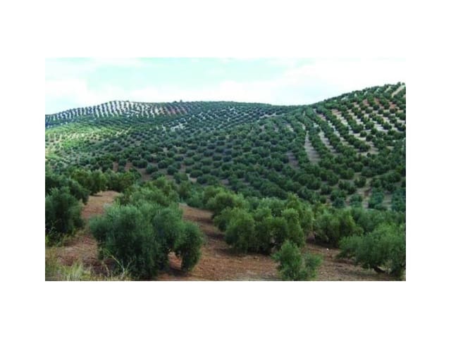 Finca/Herregård til salgs i Linares - € 7 500 000 (Ref: 9338566)