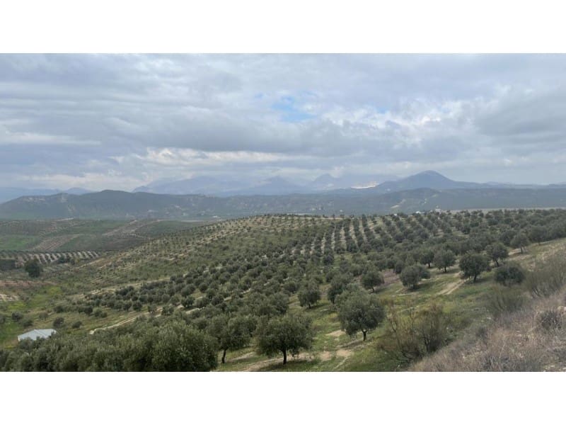 Finca/Country House for sale in Linares - € 12,000,000 (Ref: 9338566)