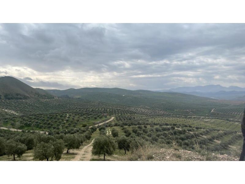 Finca/Country House for sale in Linares - € 12,000,000 (Ref: 9338566)