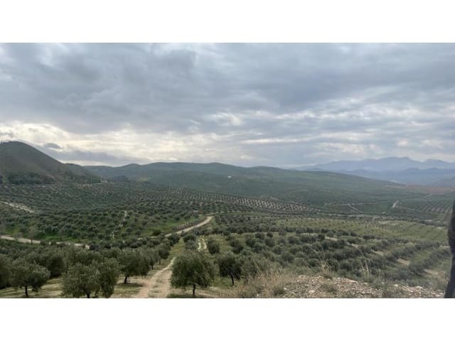 Finca/Maison de Campagne à vendre à Linares - 12 000 000 € (Ref: 9338566)