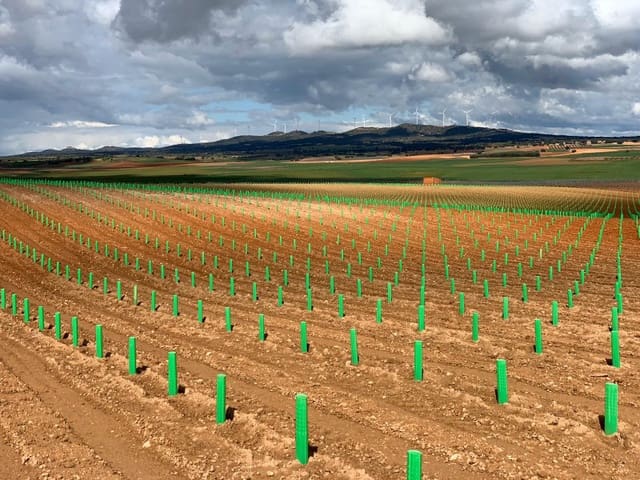 Finca/Country House for sale in Villacañas - € 20,000,000 (Ref: 9338568)