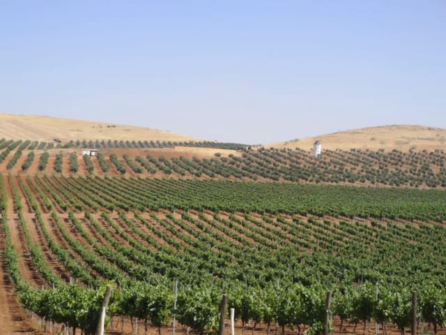 Finca/Maison de Campagne à vendre à Albaicin, Grenade ville - 5 500 000 € (Ref: 9338570)