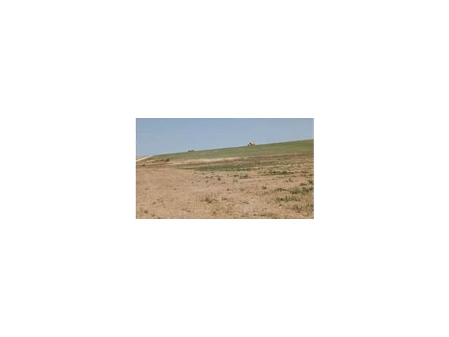 Undeveloped Land for sale in Almanza - € 29,000 (Ref: 9338571)