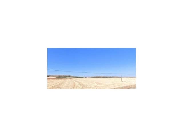 Undeveloped Land for sale in Almanza - € 29,000 (Ref: 9338571)