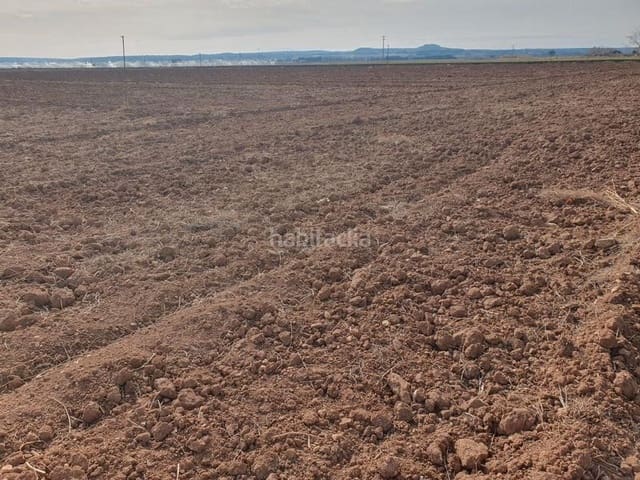 Undeveloped Land for sale in Almanza - € 29,000 (Ref: 9338571)