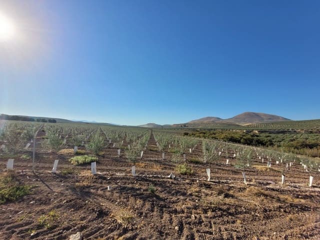 Finca/Landgut zu verkaufen in Villacarrillo - 10.000.000 € (Ref: 9347692)