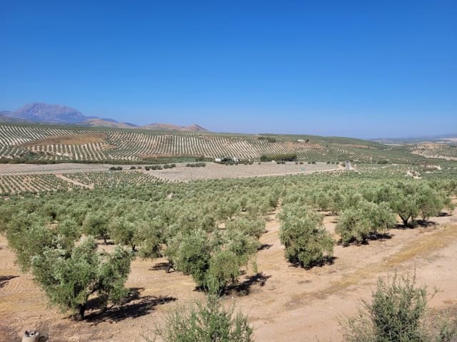 Finca/Landgut zu verkaufen in Villacarrillo - 10.000.000 € (Ref: 9347692)