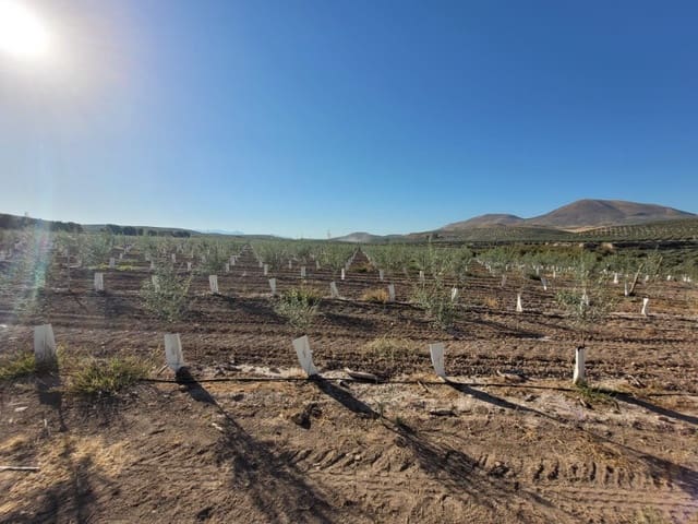 Finca/Landgut zu verkaufen in Villacarrillo - 10.000.000 € (Ref: 9347692)