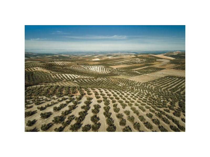 Finca/Hus på landet till salu i Orihuela - 1 500 000 € (Ref: 9353364)