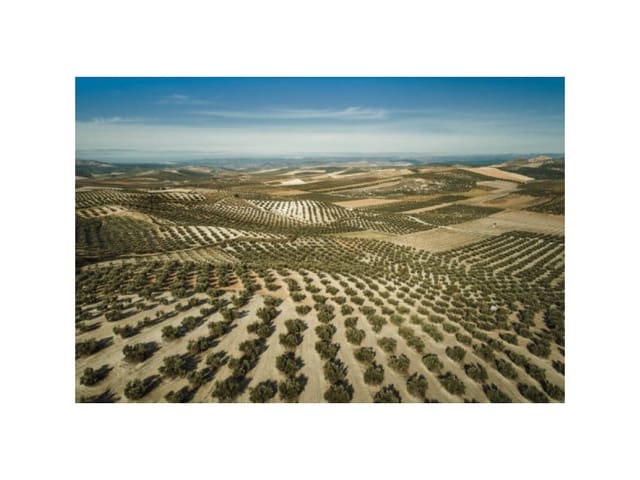 Finca/Hus på landet till salu i Desamparados - Hurchillo - Torremendo, Orihuela - 1 500 000 € (Ref: 9353364)