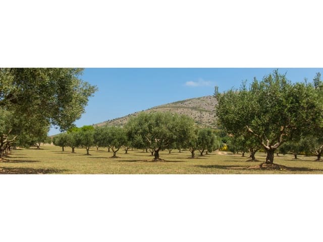 Finca/Hus på landet till salu i Desamparados - Hurchillo - Torremendo, Orihuela - 1 500 000 € (Ref: 9353364)