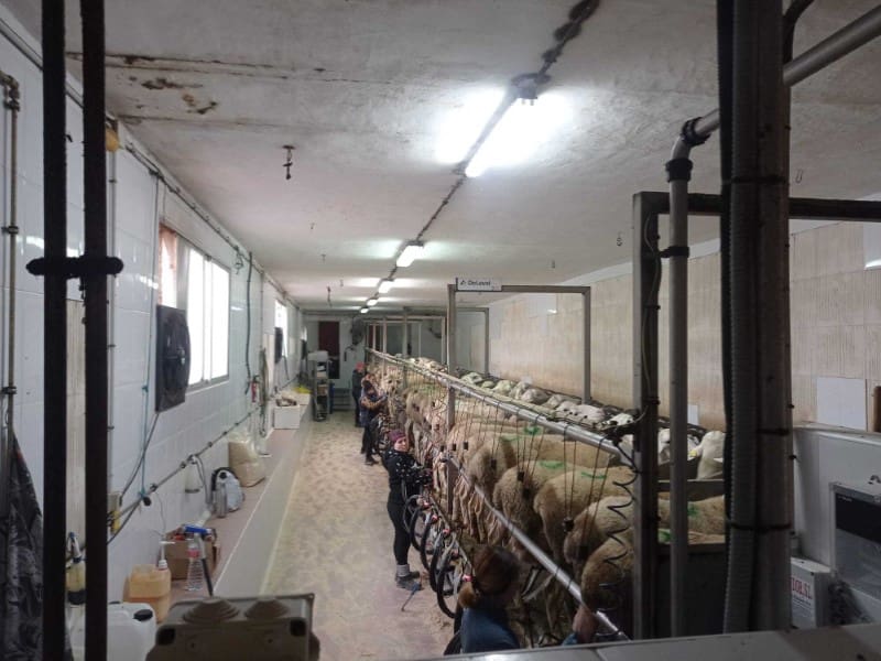 Finca/Hus på landet till salu i Motilla del Palancar - 8 000 000 € (Ref: 9372085)