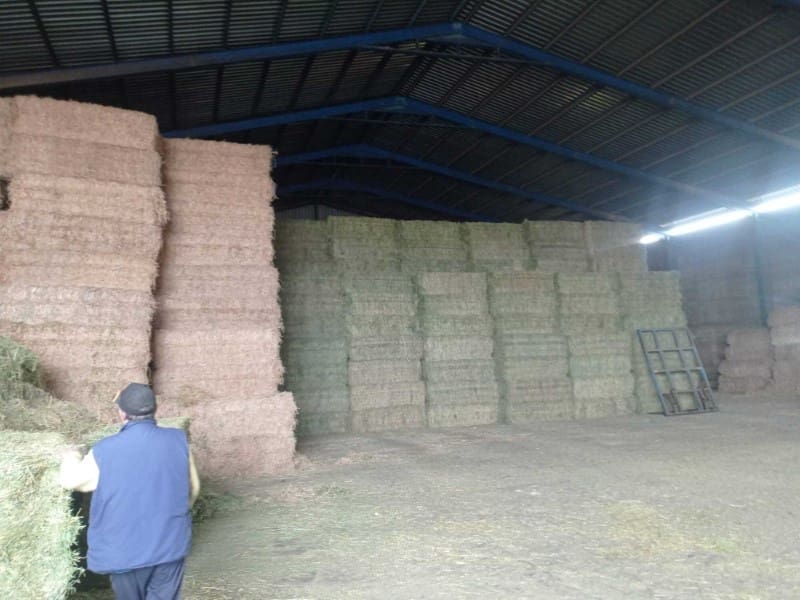 Finca/Hus på landet till salu i Motilla del Palancar - 8 000 000 € (Ref: 9372085)