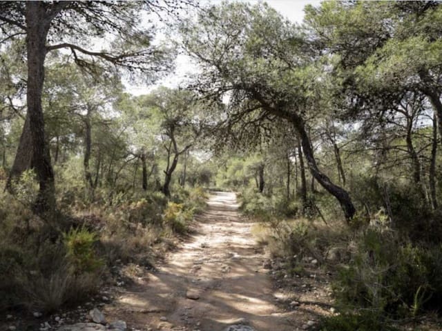 Lejlighed til salg i La Cañada, Paterna med garage - € 340.000 (Ref: 9411228)