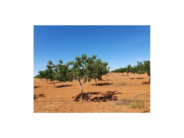 Finca/Landehus til salg i Toledo by - € 1.300.000 (Ref: 9449090)