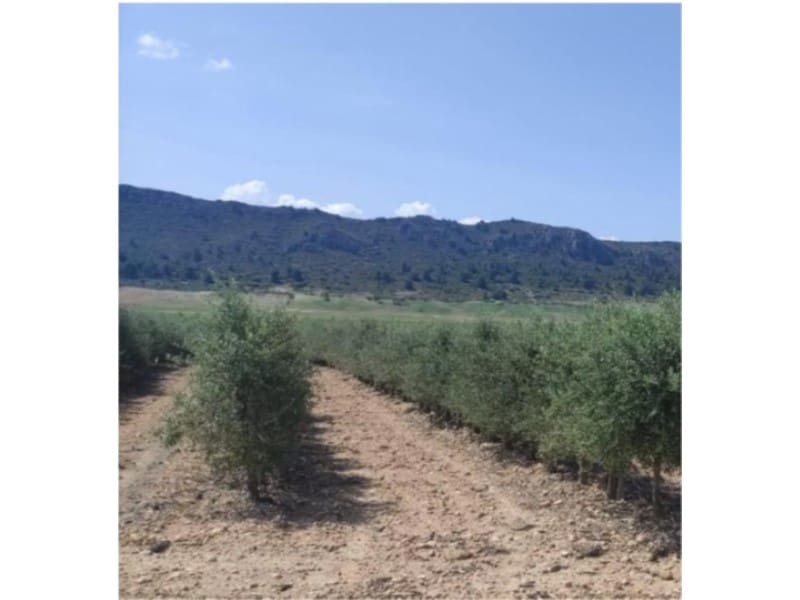 Finca/Country House for sale in Alicante / Alacant city - € 16,500,000 (Ref: 9719770)