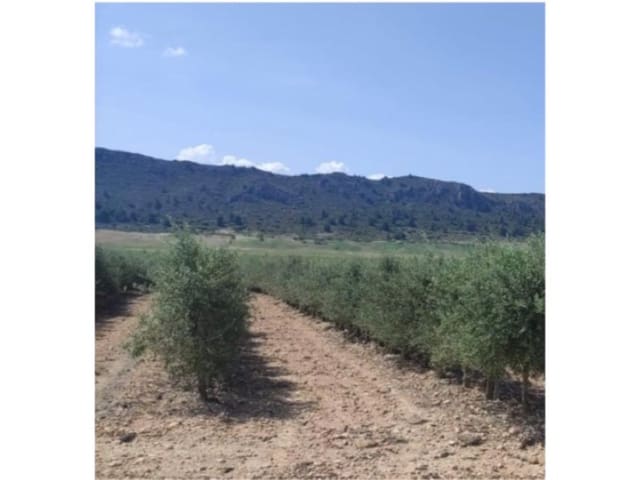 Finca/Country House for sale in San Blas, Alicante / Alacant city - € 16,500,000 (Ref: 9719770)