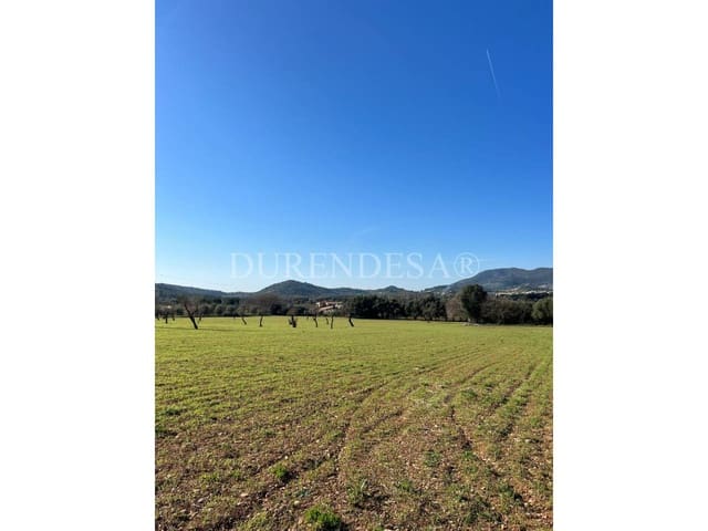 Finca/Casa Rural de 5 habitaciones en Alaró en venta con garaje - 2.800.000 € (Ref: 8802664)