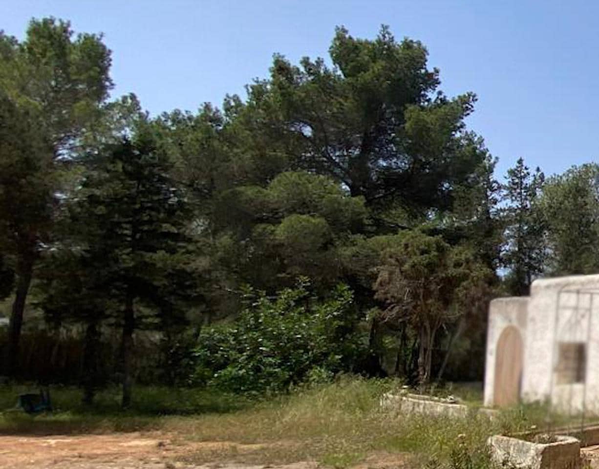 3 chambre Finca/Maison de Campagne à vendre à Sant Antoni de Portmany - 2 300 000 € (Ref: 8436101)