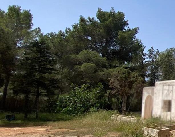 3 Zimmer Finca/Landgut zu verkaufen in Sant Antoni de Portmany - 2.200.000 € (Ref: 8436101)