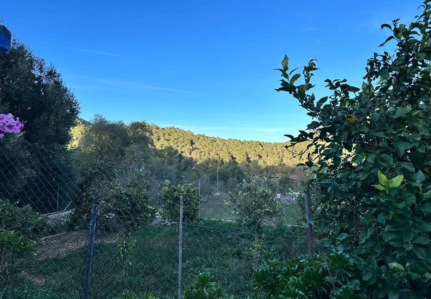 3 soveværelse Finca/Landehus til salg i San Jose / Sant Josep de Sa Talaia - € 650.000 (Ref: 8436105)