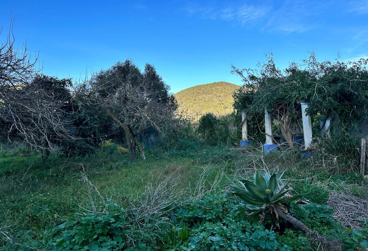 3 soveværelse Finca/Landehus til salg i San Jose / Sant Josep de Sa Talaia - € 650.000 (Ref: 8436105)