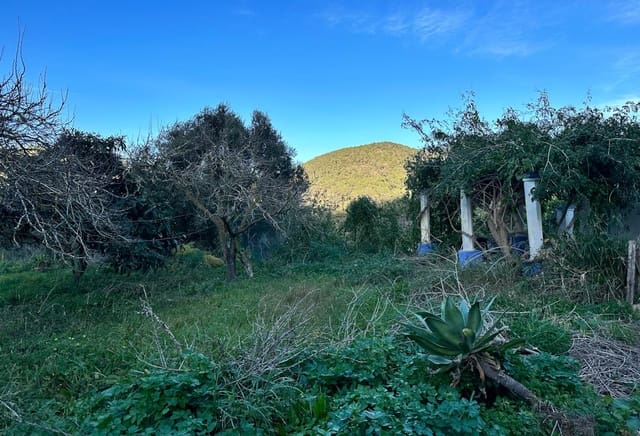 3 sovrum Finca/Hus på landet till salu i San Jose / Sant Josep de Sa Talaia - 650 000 € (Ref: 8436105)