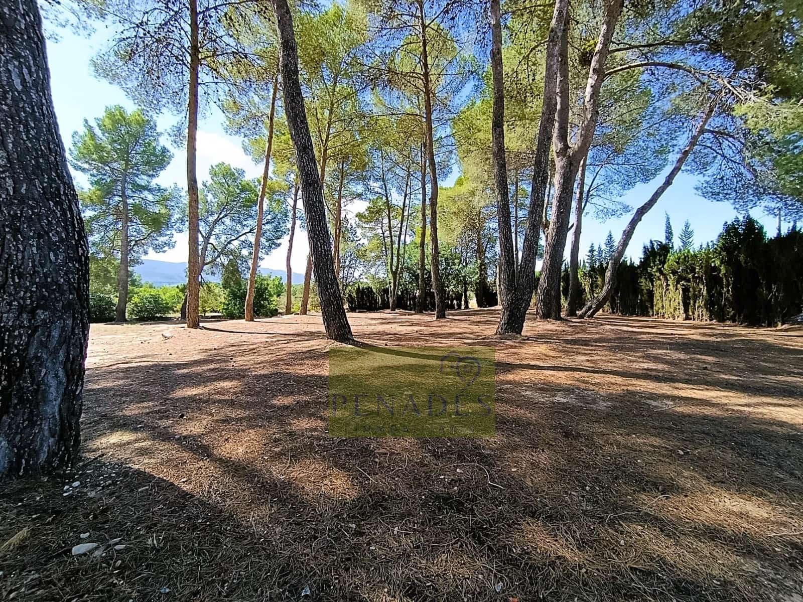 7 soveværelse Villa til salg i Ontinyent - € 650.000 (Ref: 6198520)