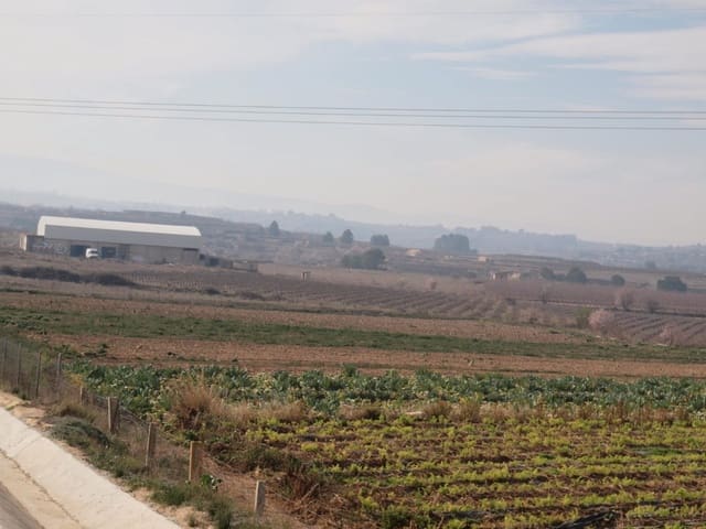 Empresa para venda em Bèlgida - 385 000 € (Ref: 7818788)