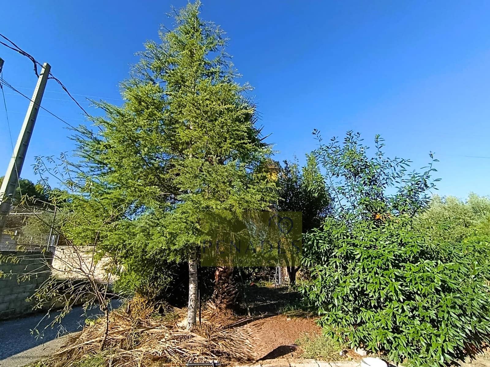 7 soveværelse Villa til salg i Ontinyent - € 250.000 (Ref: 9308702)