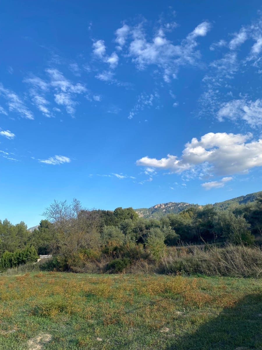 3 bedroom Finca/Country House for sale in Bocairent - € 250,000 (Ref: 9321804)