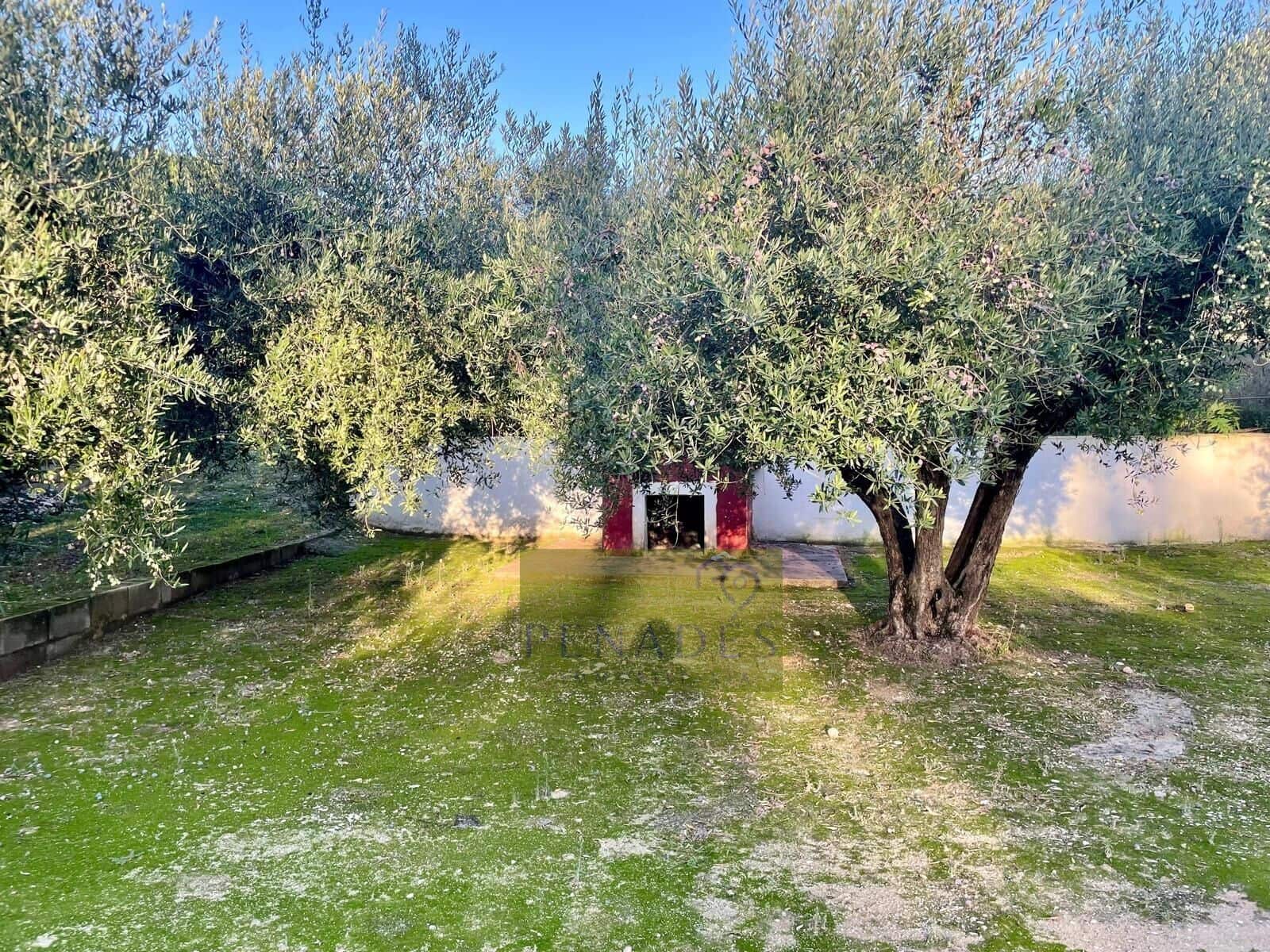 3 makuuhuone Huvila myytävänä paikassa Ontinyent - 170 000 € (Ref: 9337881)