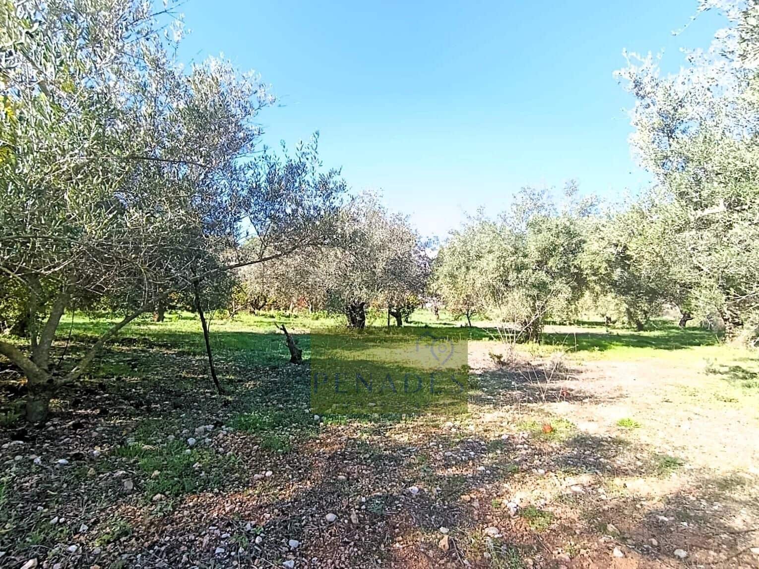 3 soveværelse Villa til salg i Ontinyent med swimmingpool garage - € 210.000 (Ref: 9419619)