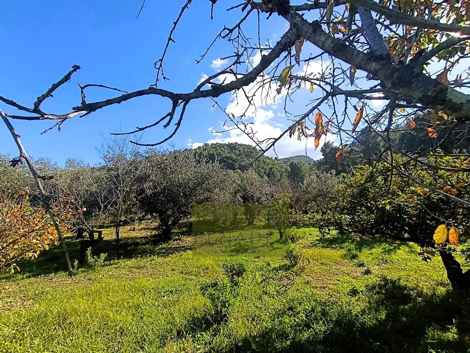 3 soveværelse Villa til salg i Ontinyent med swimmingpool garage - € 210.000 (Ref: 9419619)