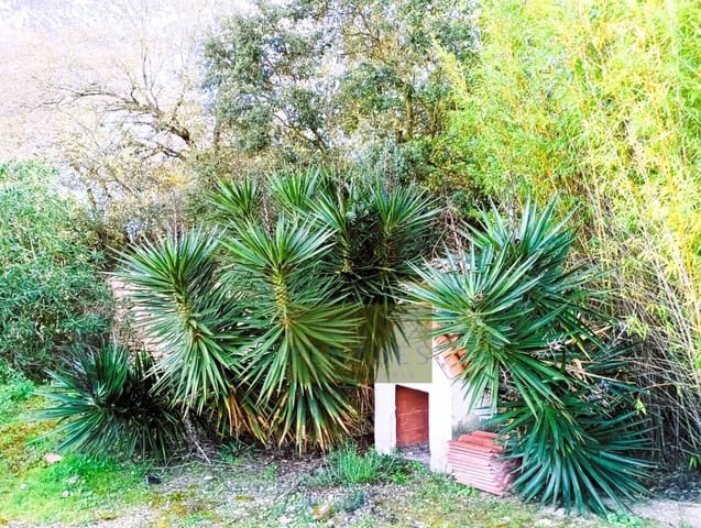 3 soveværelse Villa til salg i Ontinyent med swimmingpool - € 165.000 (Ref: 9627832)