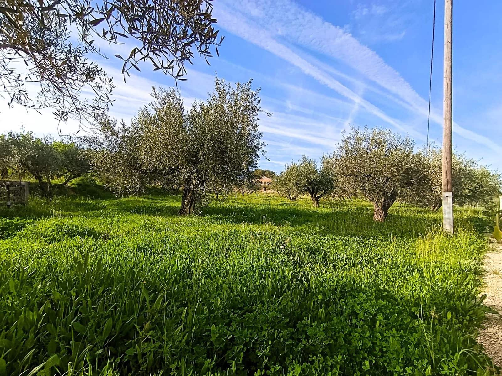 5 bedroom Villa for sale in Ontinyent with pool garage - € 295,000 (Ref: 9846656)