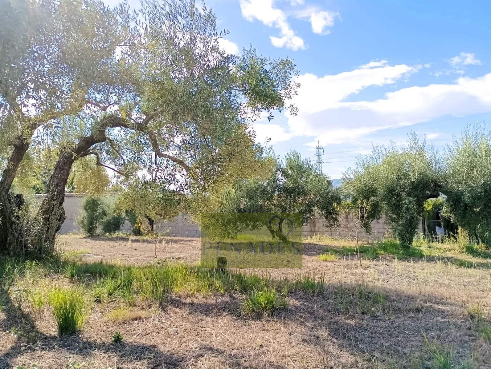 3 soverom Villa til salgs i Ontinyent - € 155 000 (Ref: 9876691)