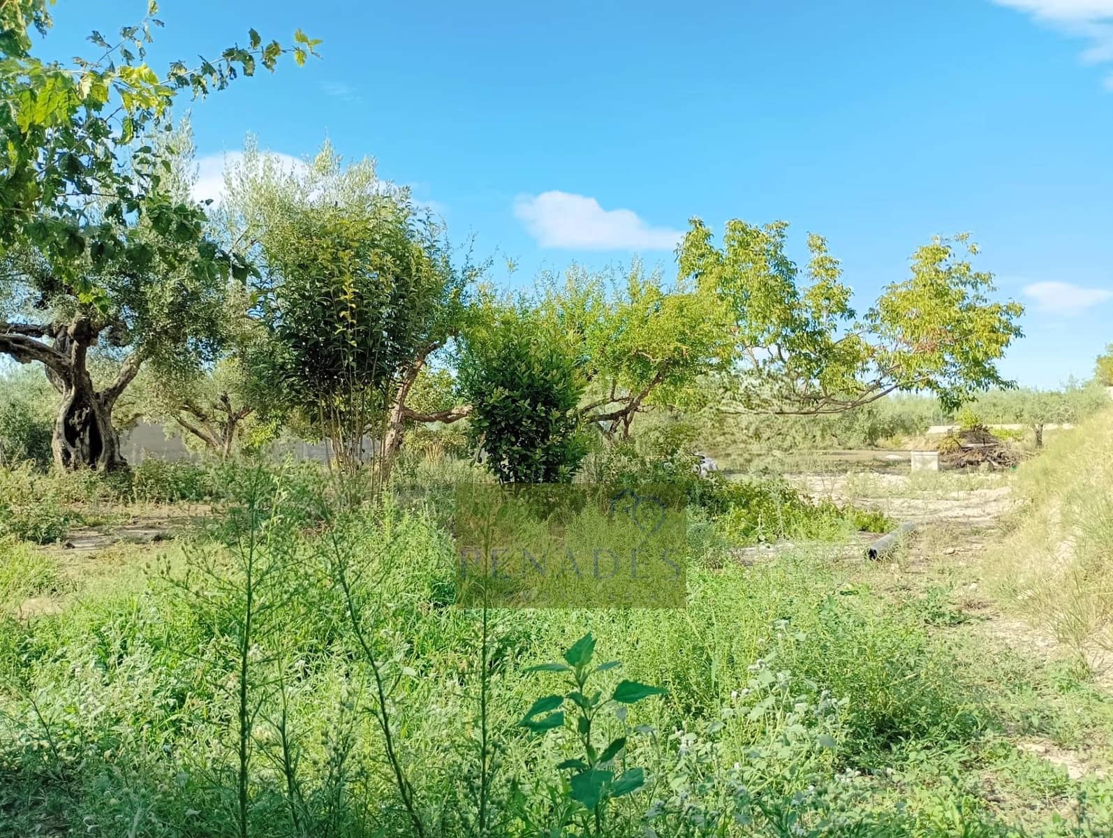 3 soverom Villa til salgs i Ontinyent - € 155 000 (Ref: 9876691)