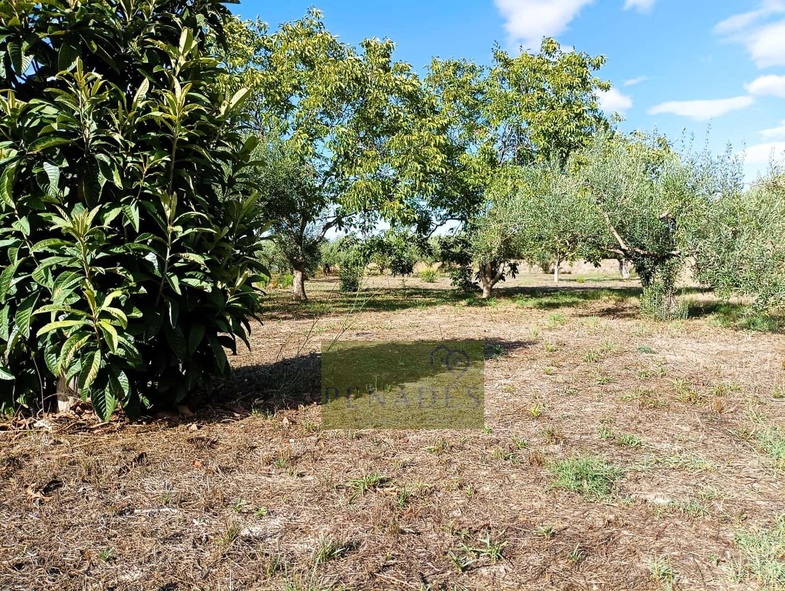 3 soverom Villa til salgs i Ontinyent - € 155 000 (Ref: 9876691)