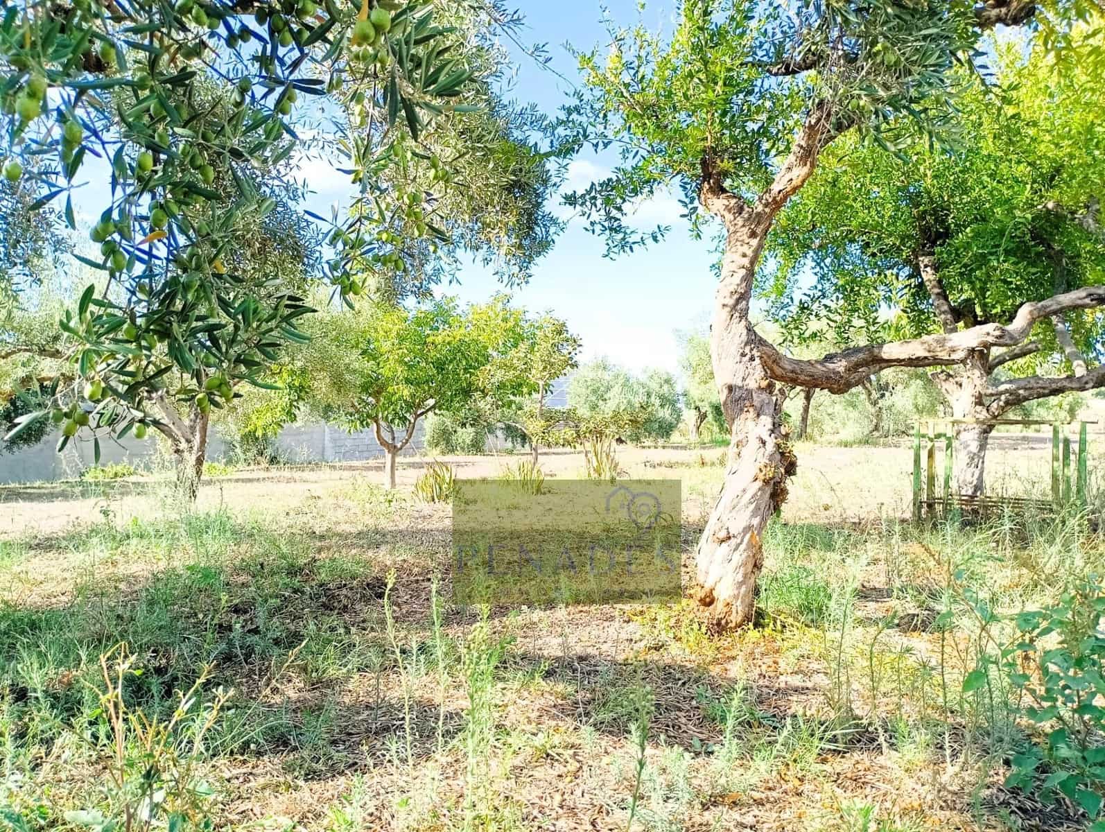 3 soverom Villa til salgs i Ontinyent - € 155 000 (Ref: 9876691)